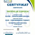 Powiększ obraz: certificate 5