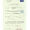 Powiększ obraz: certificate 3