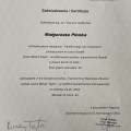 Powiększ obraz: certificate 5
