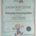 Powiększ obraz: certificate 3