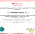 Powiększ obraz: certificate 2