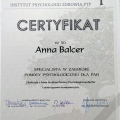 Powiększ obraz: certificate 1