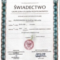 Powiększ obraz: certificate 1