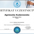 Powiększ obraz: certificate 12