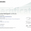 Powiększ obraz: certificate 11