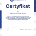 Powiększ obraz: certificate 1