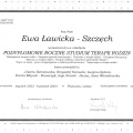 Powiększ obraz: certificate 3
