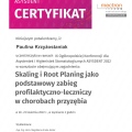 Powiększ obraz: certificate 4