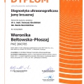 Powiększ obraz: certificate 2