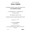 Powiększ obraz: certificate 31