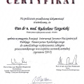 Powiększ obraz: certificate 1
