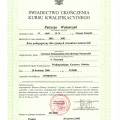 Powiększ obraz: certificate 3