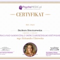 Powiększ obraz: certificate 8
