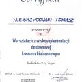 Powiększ obraz: certificate 6
