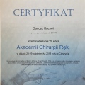 Powiększ obraz: certificate 6