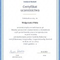Powiększ obraz: certificate 9