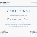 Powiększ obraz: certificate 2