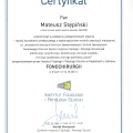 Powiększ obraz: certificate 4