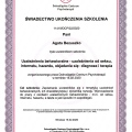 Powiększ obraz: certificate 2