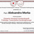 Powiększ obraz: certificate 1