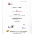 Powiększ obraz: certificate 5