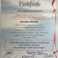 Powiększ obraz: certificate 8