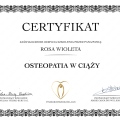 Powiększ obraz: certificate 5
