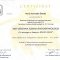 Powiększ obraz: certificate 10
