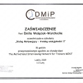 Powiększ obraz: certificate 3