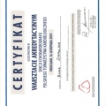 Powiększ obraz: certificate 2