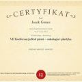 Powiększ obraz: certificate 8
