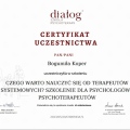 Powiększ obraz: certificate 8