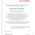 Powiększ obraz: certificate 4
