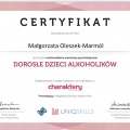 Powiększ obraz: certificate 10