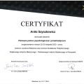 Powiększ obraz: certificate 13