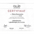 Powiększ obraz: certificate 2