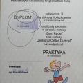 Powiększ obraz: certificate 2