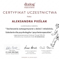 Powiększ obraz: certificate 19