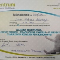 Powiększ obraz: certificate 13