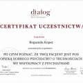 Powiększ obraz: certificate 4