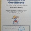 Powiększ obraz: certificate 4