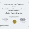 Powiększ obraz: certificate 4