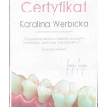 Powiększ obraz: certificate 8