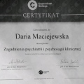 Powiększ obraz: certificate 25