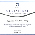 Powiększ obraz: certificate 6