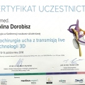 Powiększ obraz: certificate 4
