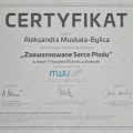 Powiększ obraz: certificate 47