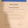 Powiększ obraz: certificate 5