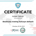 Powiększ obraz: certificate 2
