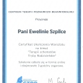 Powiększ obraz: certificate 9